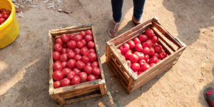 Article : Lubumbashi : Kenya, de zone rouge en commune marchande